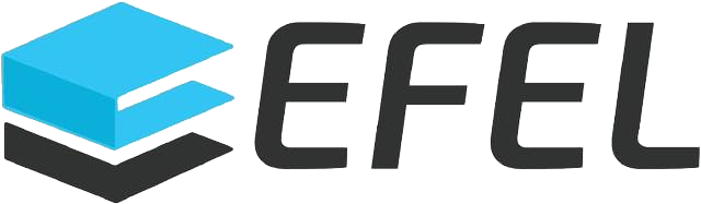 EFEL TECHNIC ENT